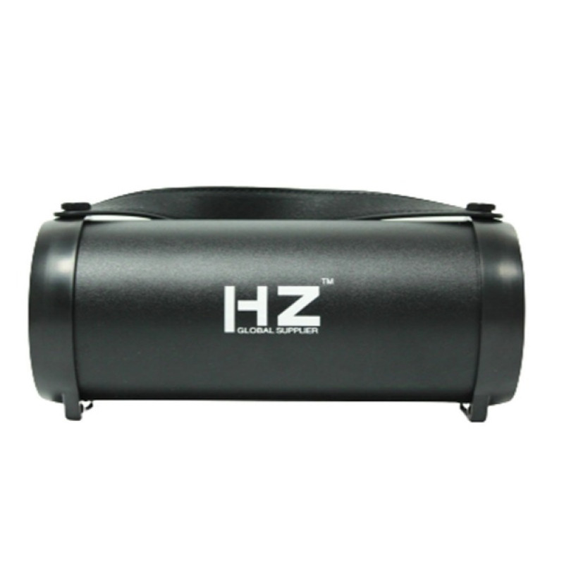 Колонка HZ S-33D