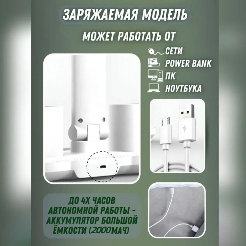 Настільна лампа з 2 плафонами 1702