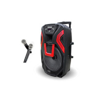 Портативна акустична колонка ZXX-1503 (60 Вт, 15")