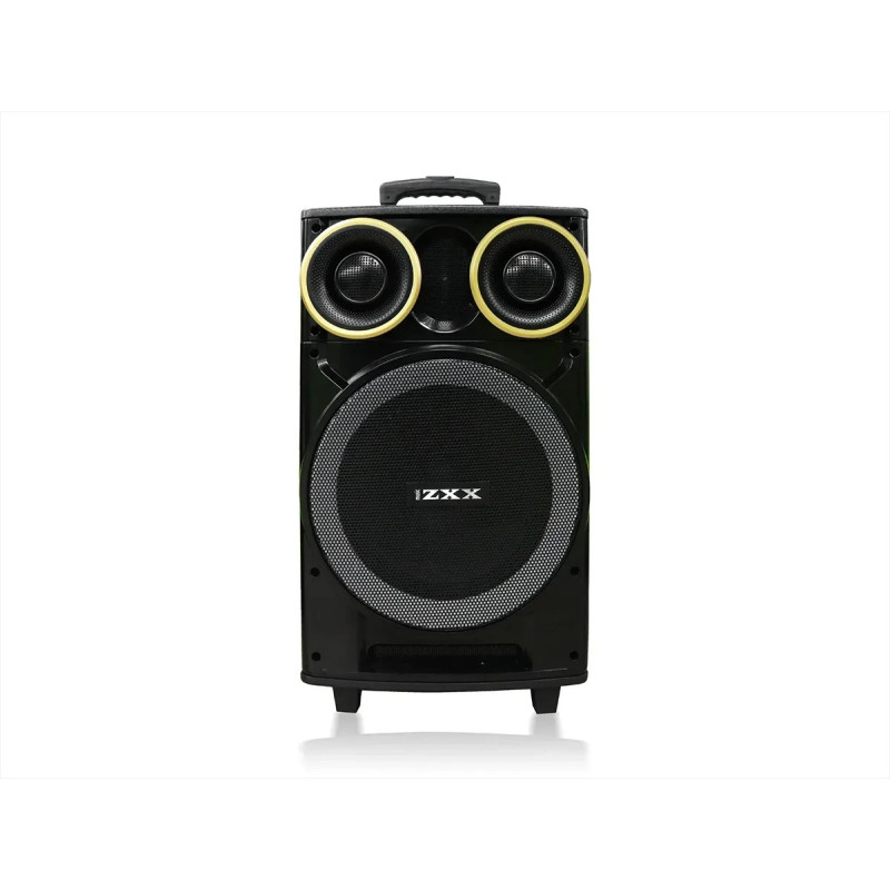 Акустична переносна колонка ZXX-9191 60Вт 12"