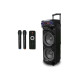 Акустическая переносная колонка ZXX-9292 60Вт 2x10"