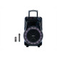 Акустична переносна колонка ZXX-7171 600Вт 12"