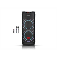 Акустична переносна колонка ZXX-5560 100Вт 2x10"