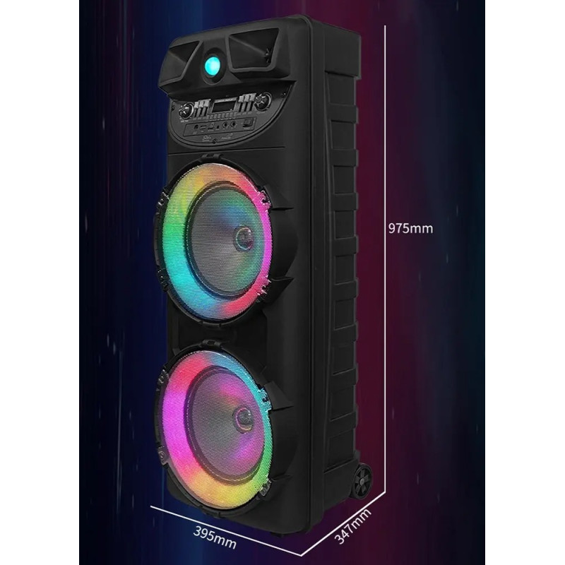 Колонка акустична ZQS10205, 2&times;20 Вт, 10"&times;2, з бездротовим мікрофоном