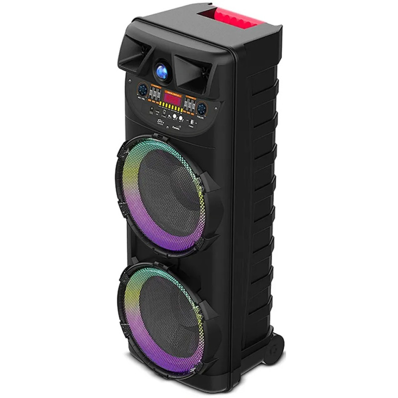 Колонка акустична ZQS10205, 2&times;20 Вт, 10"&times;2, з бездротовим мікрофоном
