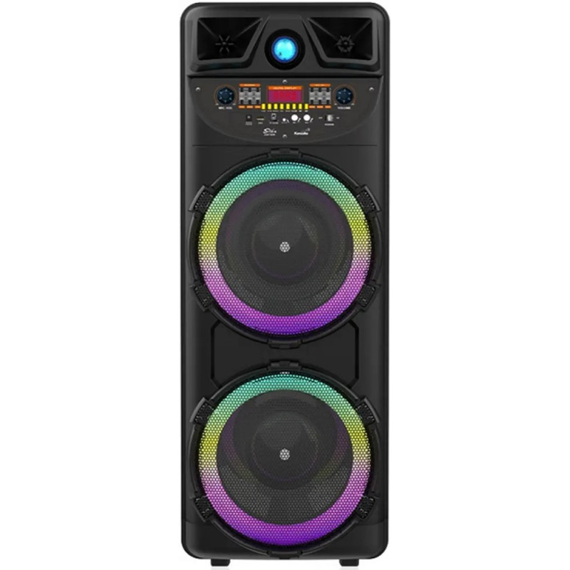 Колонка акустична ZQS10205, 2&times;20 Вт, 10"&times;2, з бездротовим мікрофоном