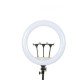 Кольцевая лампа LJJ-45, 18" (45 см), LED, 3 режима света, пульт, питание от сети