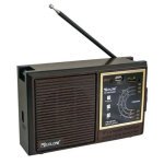 Радіоприймач GOLON RX-9933UAR, мережевий, з акумулятором, Bluetooth, USB та SD- Замовити за ціною 726 грн.