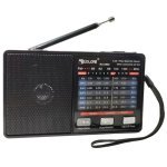 Радіоприймач GOLON RX-8866, акумуляторний, USB, SD, LED-ліхтар, 8 діапазонів