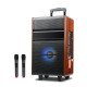 Портативна колонка ART LIVE 12, Bluetooth, USB, FM, караоке, 1200W