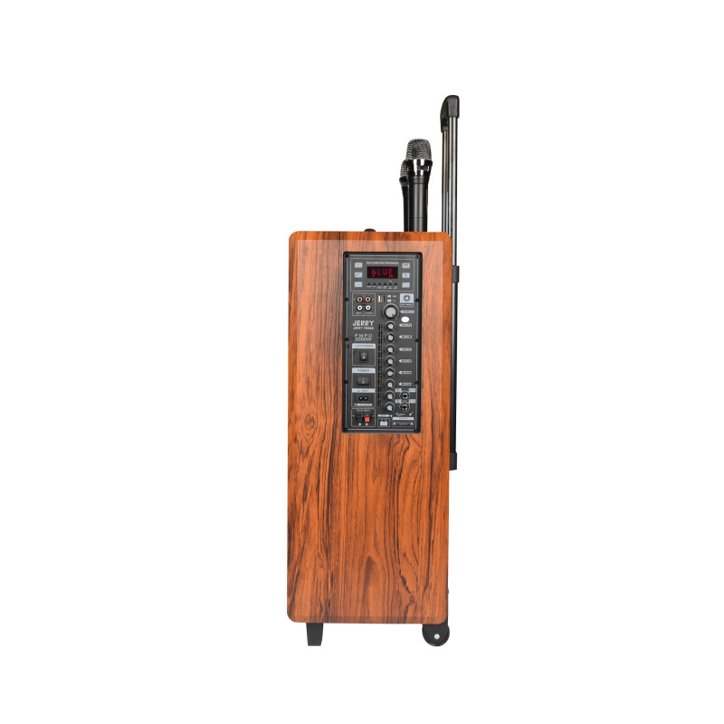 Портативная колонка ART LIVE 12, Bluetooth, USB, FM, караоке, 1200W