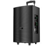 Портативная колонка T2 Pro, Bluetooth, USB, FM, караоке, 1000W