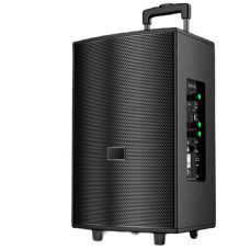 Портативна колонка T2 Pro, Bluetooth, USB, FM, караоке, 1000W