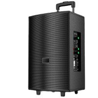 Портативна колонка T2 Pro, Bluetooth, USB, FM, караоке, 1000W