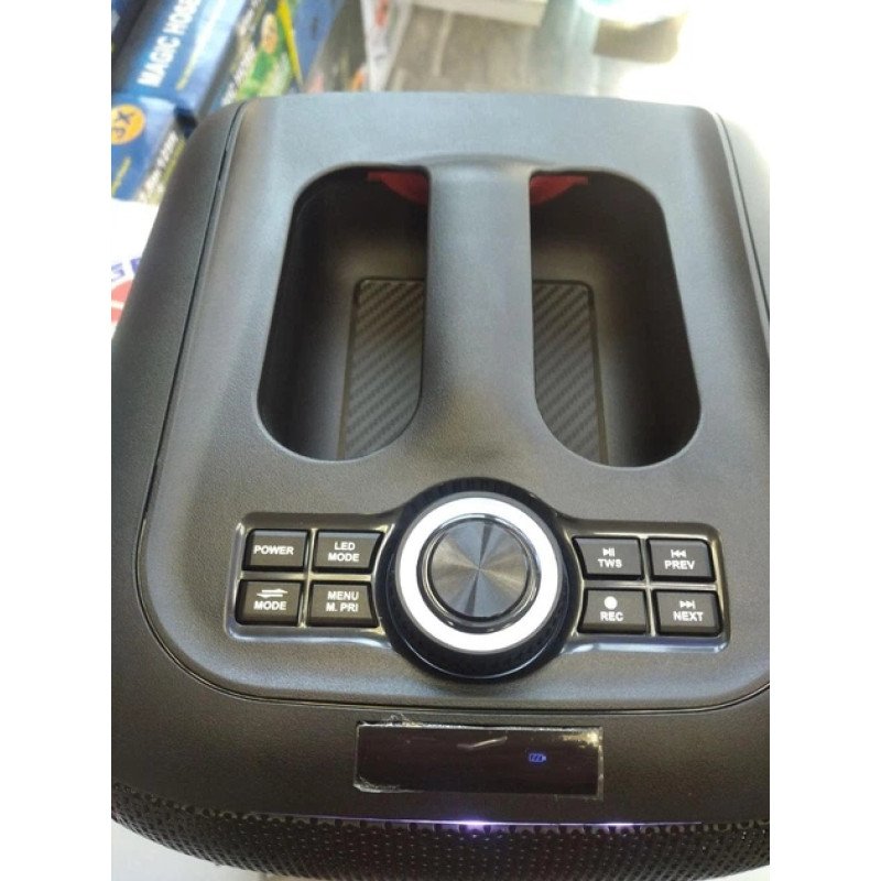 Портативна акустична система ZPX-7790, TWS, 8", 250 Вт