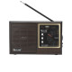 Радіоприймач GOLON RX-9933UAR, FM/AM/SW/TV, USB/SD, MP3- Замовити за ціною 825 грн.